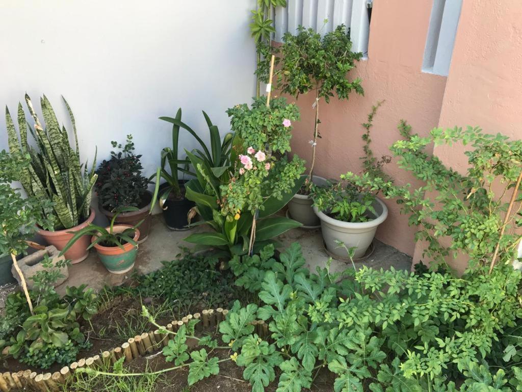 Urbanlife Keetmanshoop Accommodation ภายนอก รูปภาพ